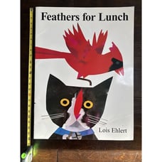 Scott Foresman Reading Grade 1 unit 2 Feathers for Lunch By Lois Ehlert Big Book
