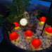 Upgraded Outdoor Garden Lights 6 Mushrooms Lamps For Christmas Decoration Yard