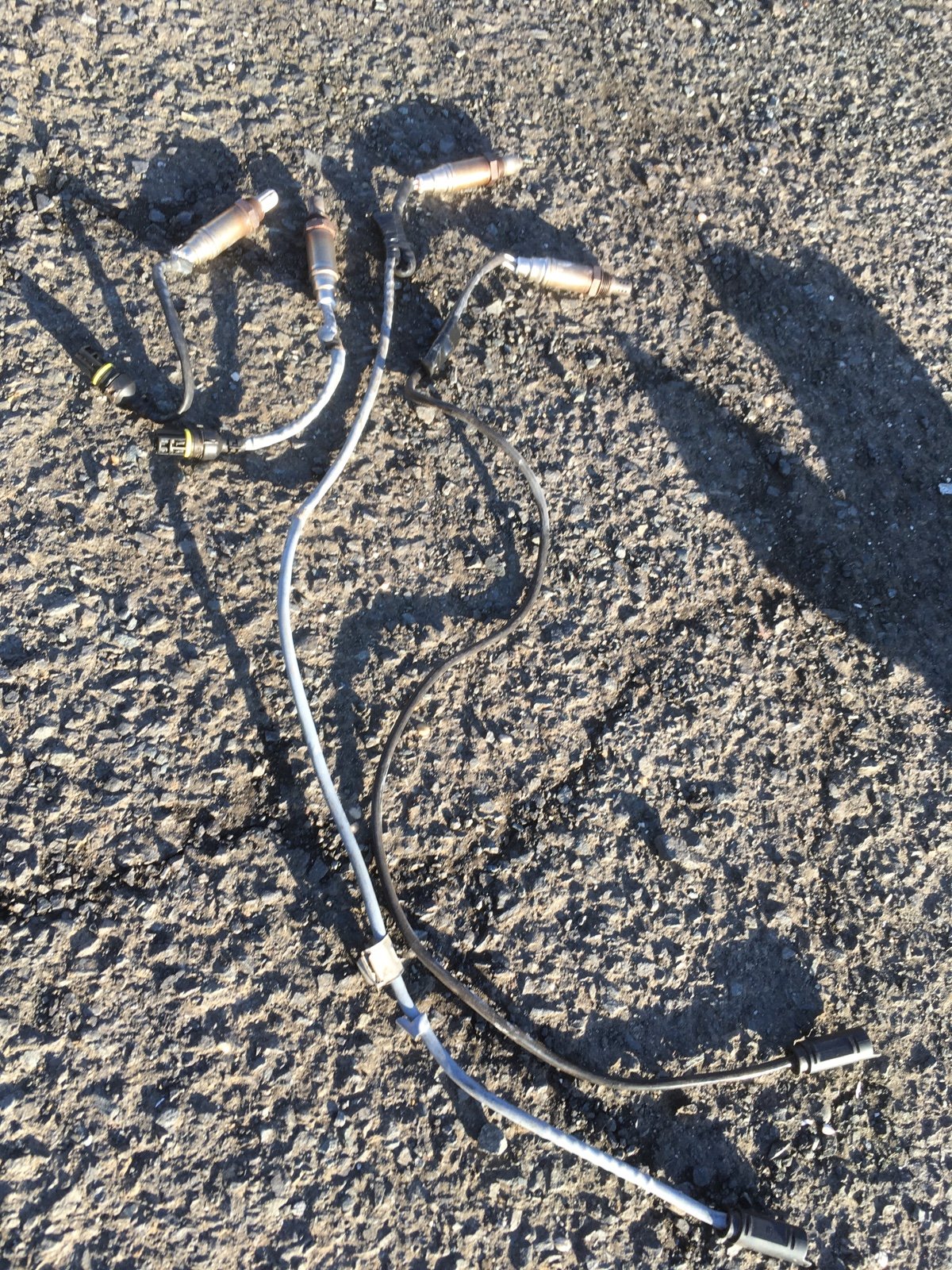 BMW M54 M52TU Post / Pre CAT  O2 Oxygen Sensors Set OEM Bosch E39 E46 Z4 E85 Z3.