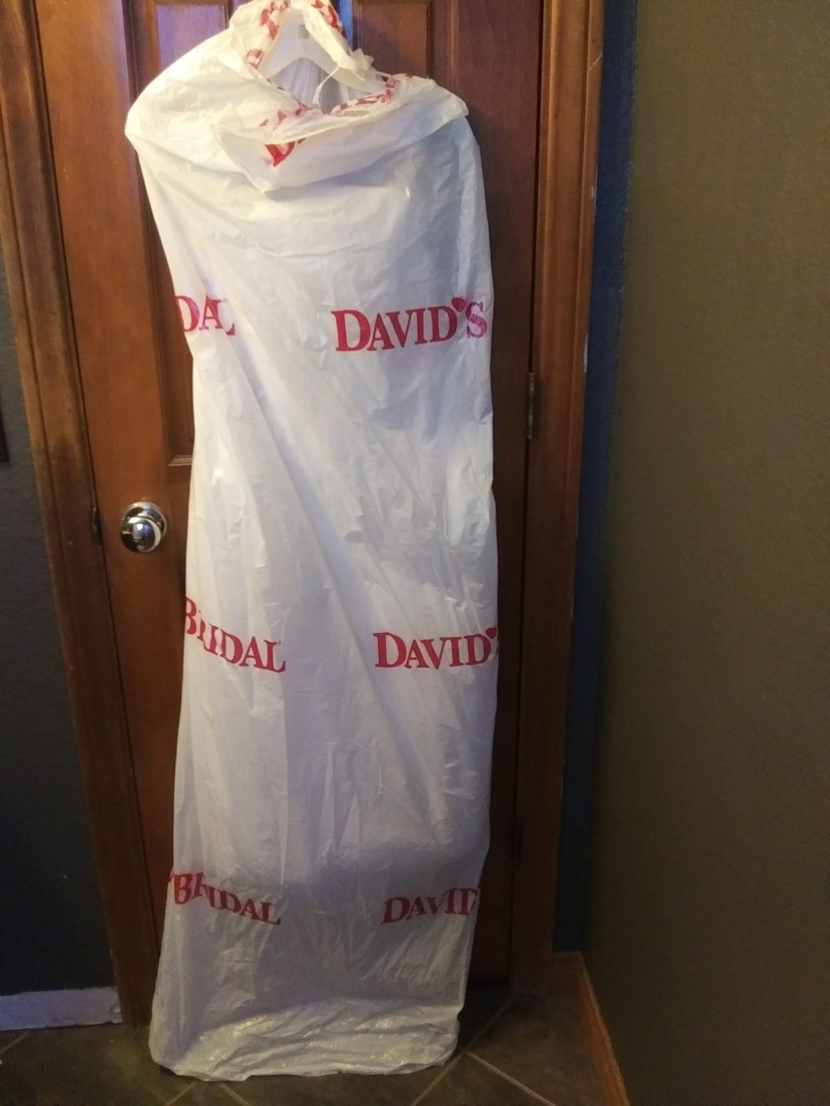 *NEW* Never Worn David's Bridal Wedding