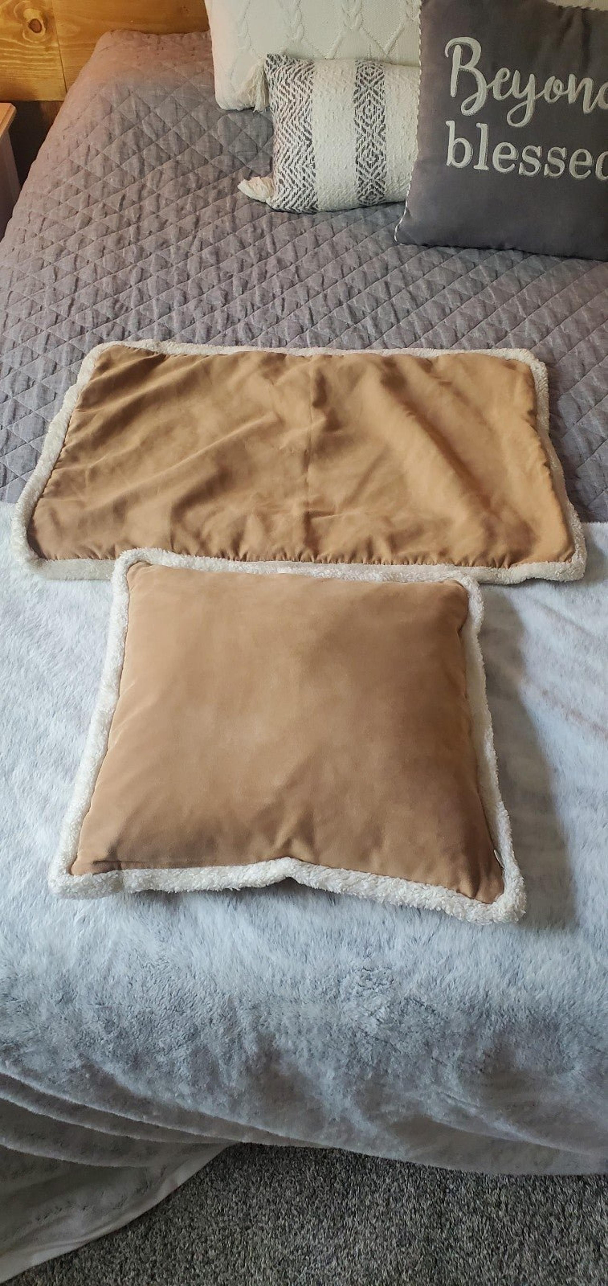 POTTERY BARN KIDS PILLOW and 2 pillow cases