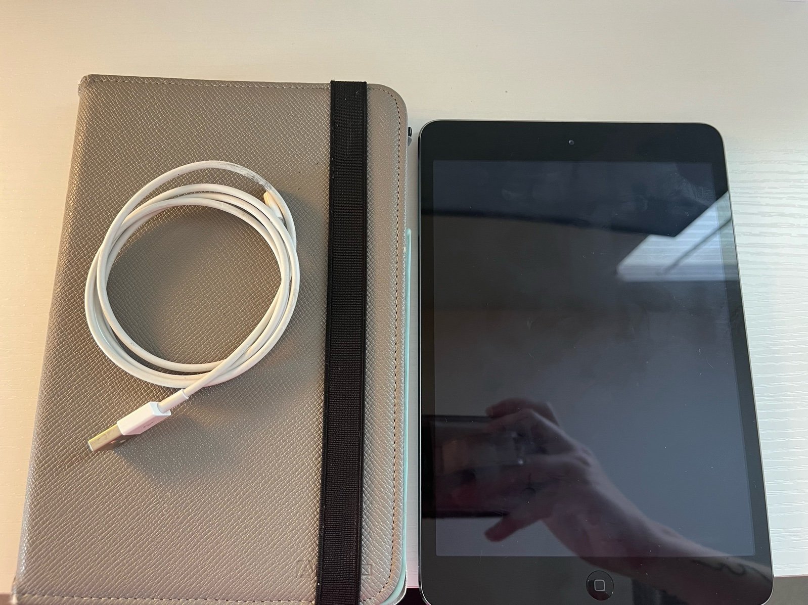 iPad mini 2nd generation Space Gray 16 GB