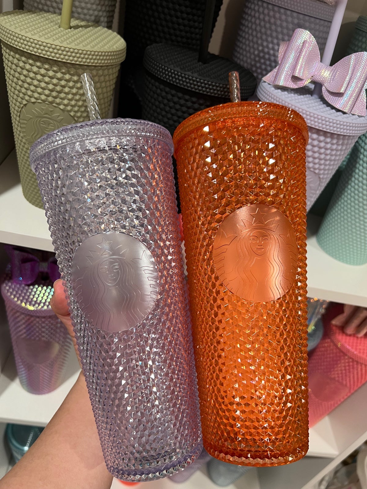 Bundle Fulong Starbucks Cups