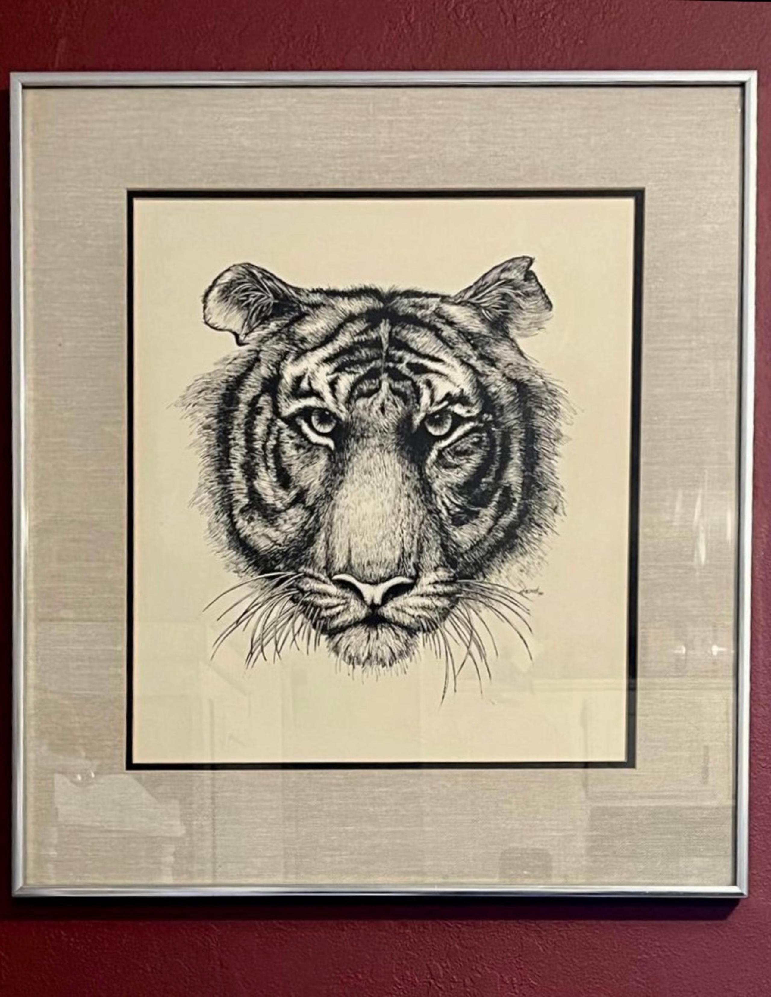 Tiger (vintage Original Ink Drawing Signed By Artist)