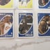LEBRON JAMES UNO CARDS