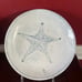 Set 4 Sigrid Olsen Starfish/Seashell 9” MELAMINE Blue App/Salad/Dessert Plaest