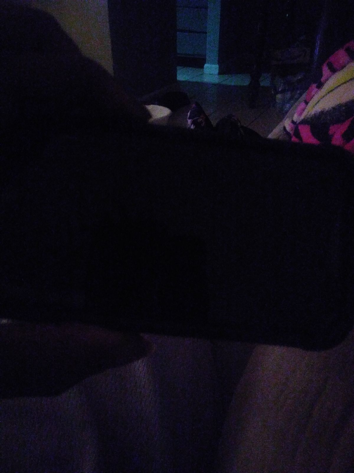 Mp3 player