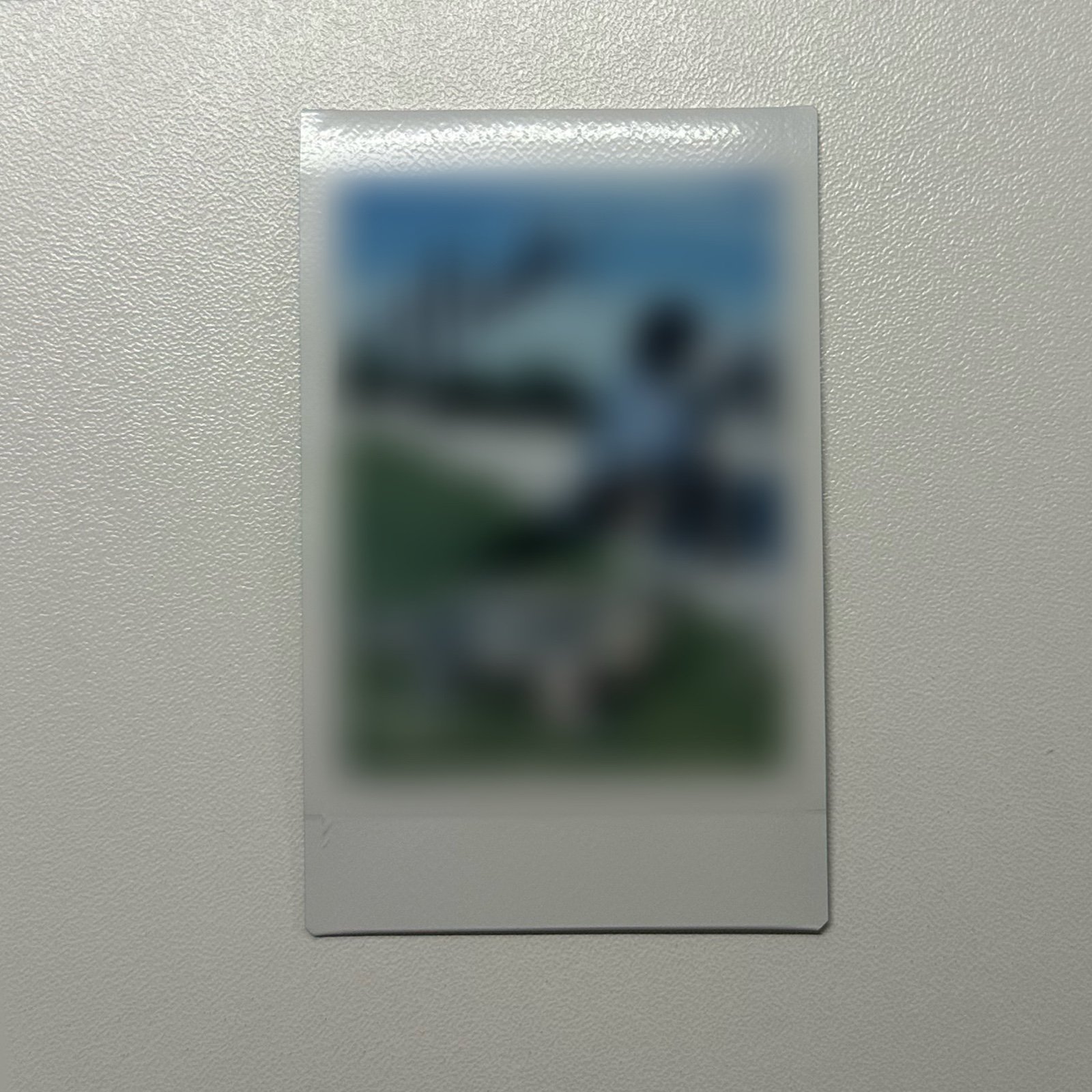 hannah bahng signed polaroid