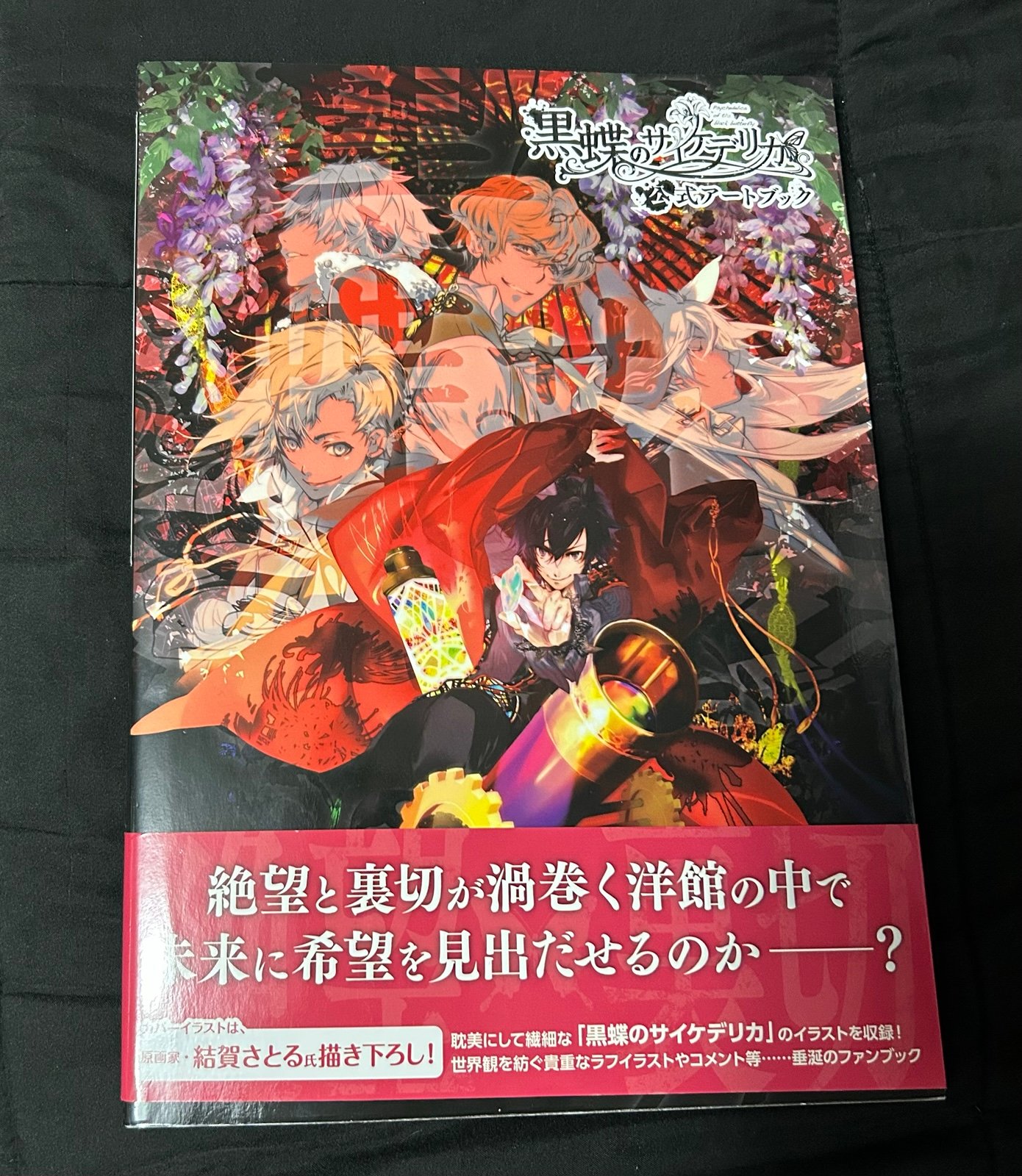 Psychedelica of the Black Butterfly Official Art Book