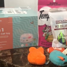 A Bunch of Cat Toys