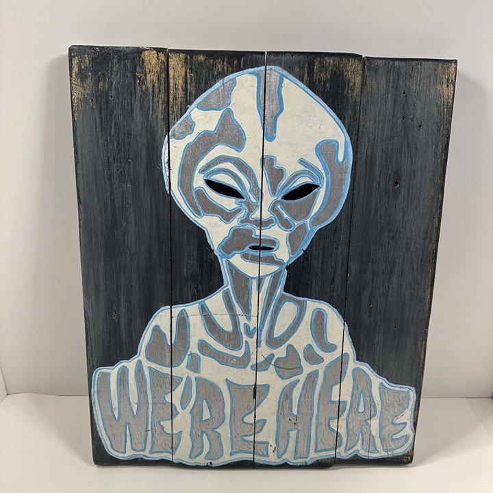Vincent Paccione UFO Alien Wall Art Wood Plaque 17x14 Southern California