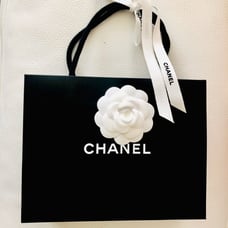 Chanel Medium bag w/ Camellia & Ribbon