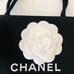 Chanel Medium bag w/ Camellia & Ribbon