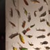 Bass Fishing Lures