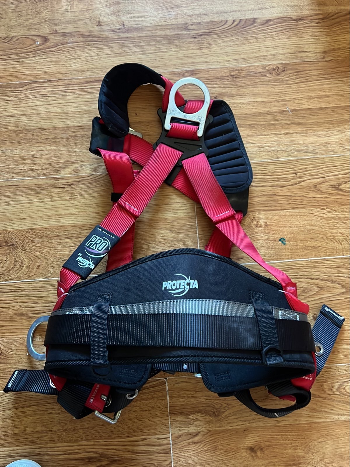 Protecta Safety Harness