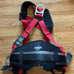 Protecta Safety Harness