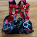 Protecta Safety Harness