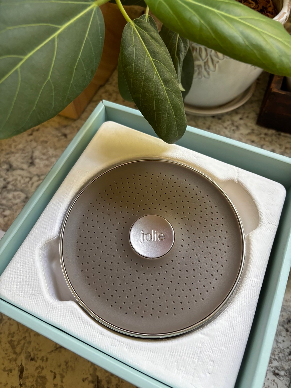 Jolie The Filtered Showerhead, brushed steel