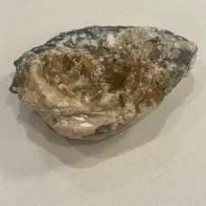 Fossilized Honey Calcite Clam