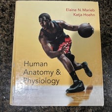 Human anatomy and physiology