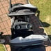 Graco Duo Glider Stroller