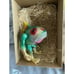 SFBI Hamaguro Figure Sofubi Monster Limited Edition D-Con 2017 Ron English Green