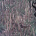 Gortex 10x real tree Camo rain jacket sz