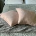 Pink fashion pillows