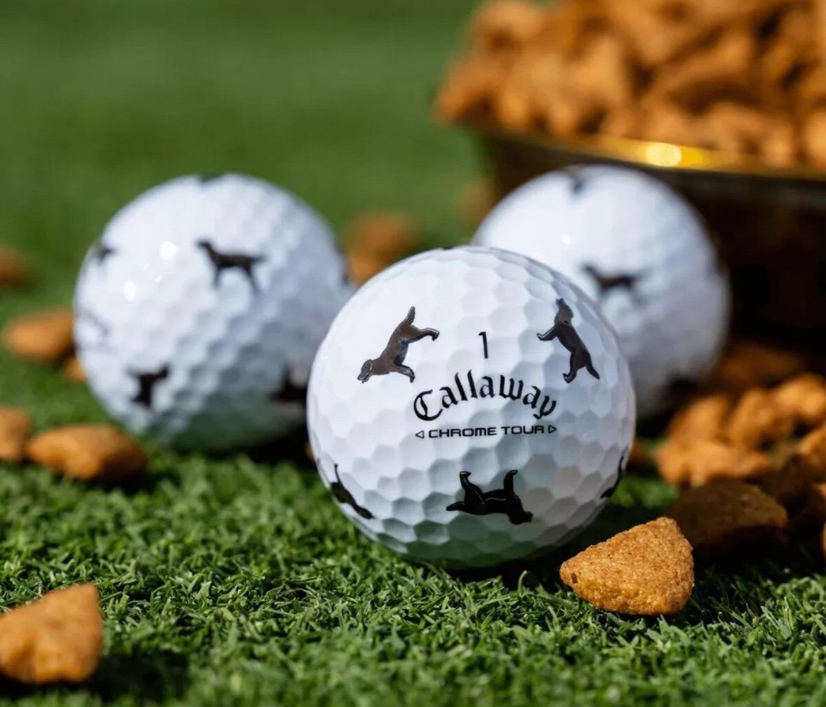 Dozen new brown lab golf balls