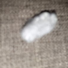 A piece of cheap pillow stuffing