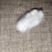 A piece of cheap pillow stuffing