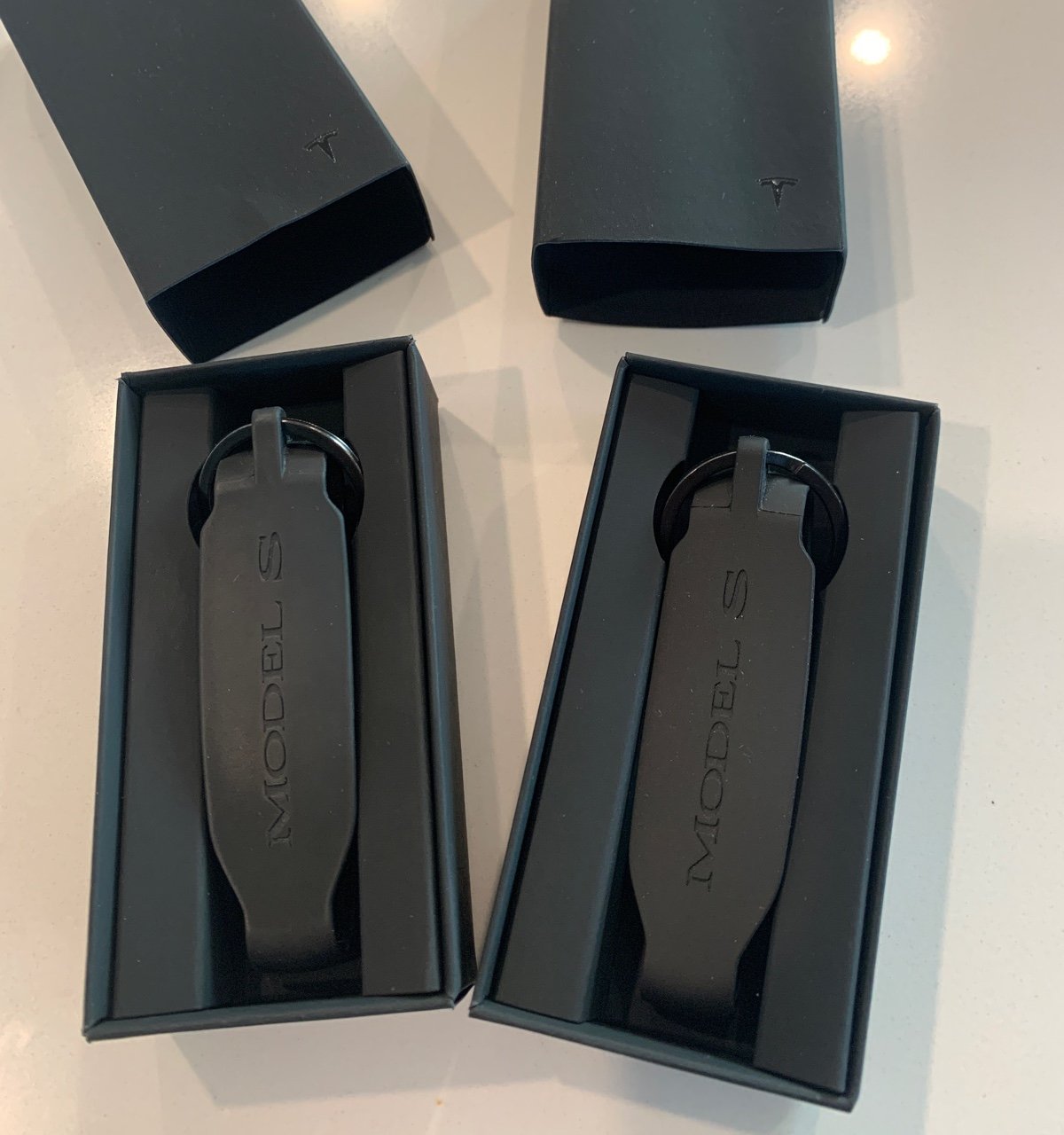 Tesla Model S Keyband