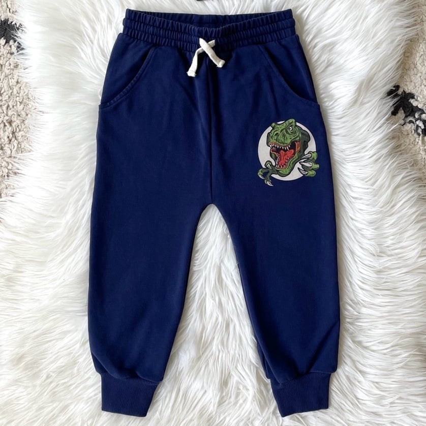 Rock Your Kid Navy T-Rex Dinosaur Track Pants 4T