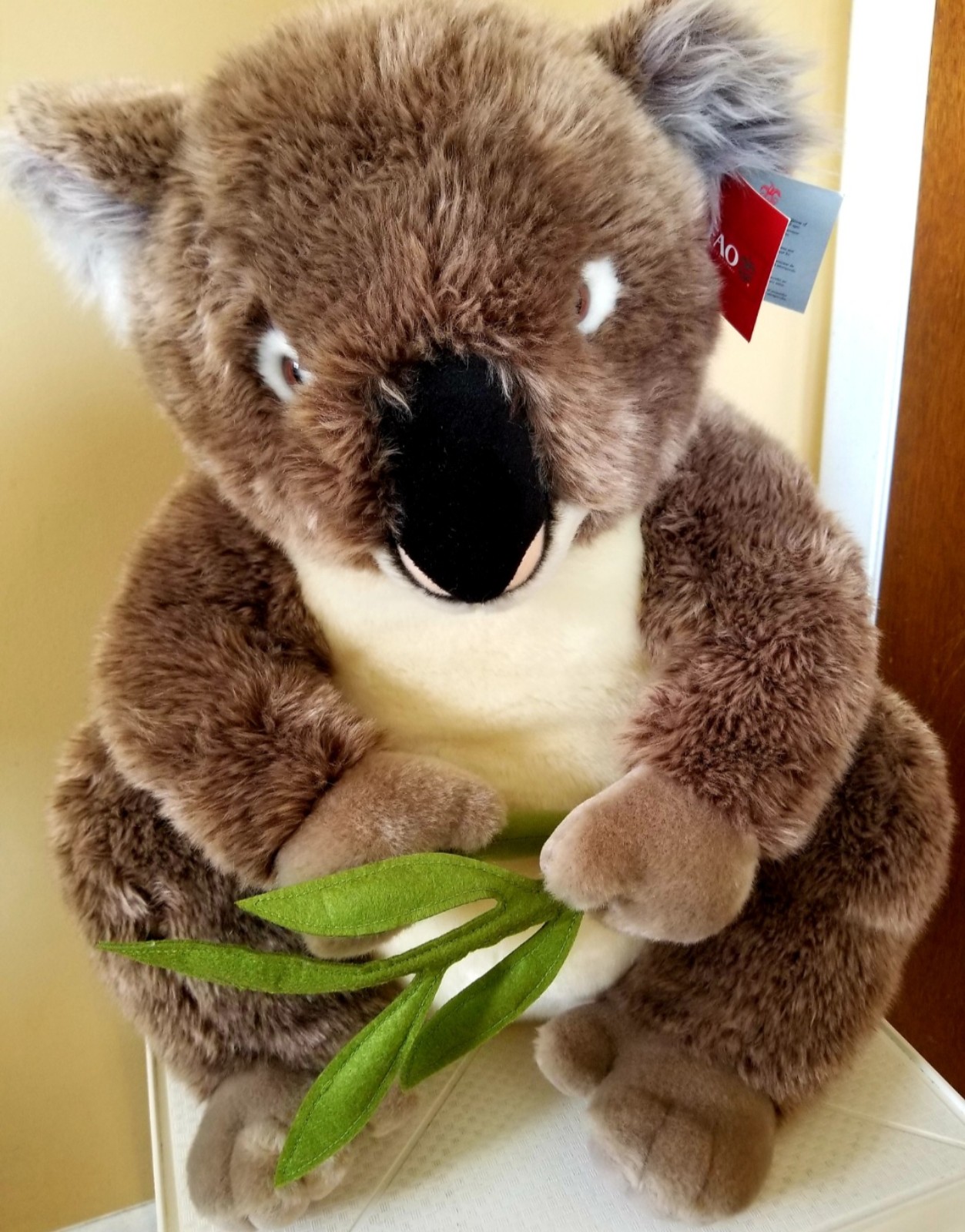 Koala Bear Plush