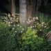 8-Pack Solar Garden Lights (Upgraded Long Lasting), 64 LED Firefly Solar Lights