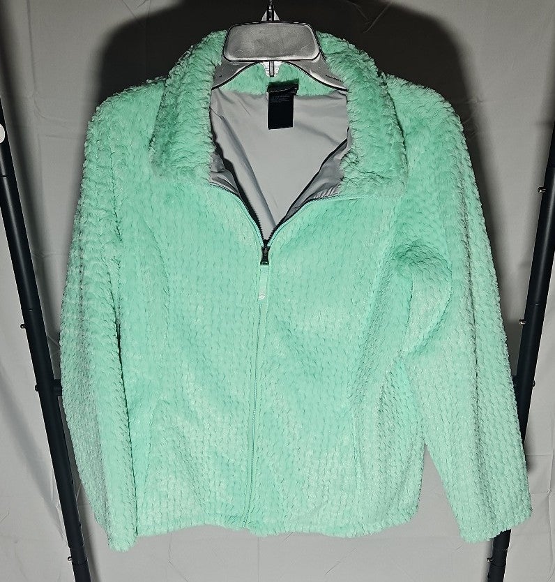 The north face jacket
