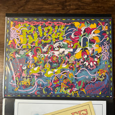 Phish Apline 22 Poster