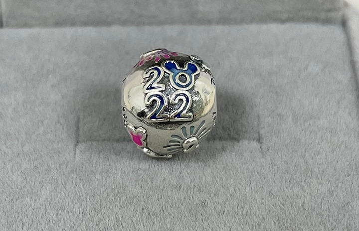 Pandora Charms