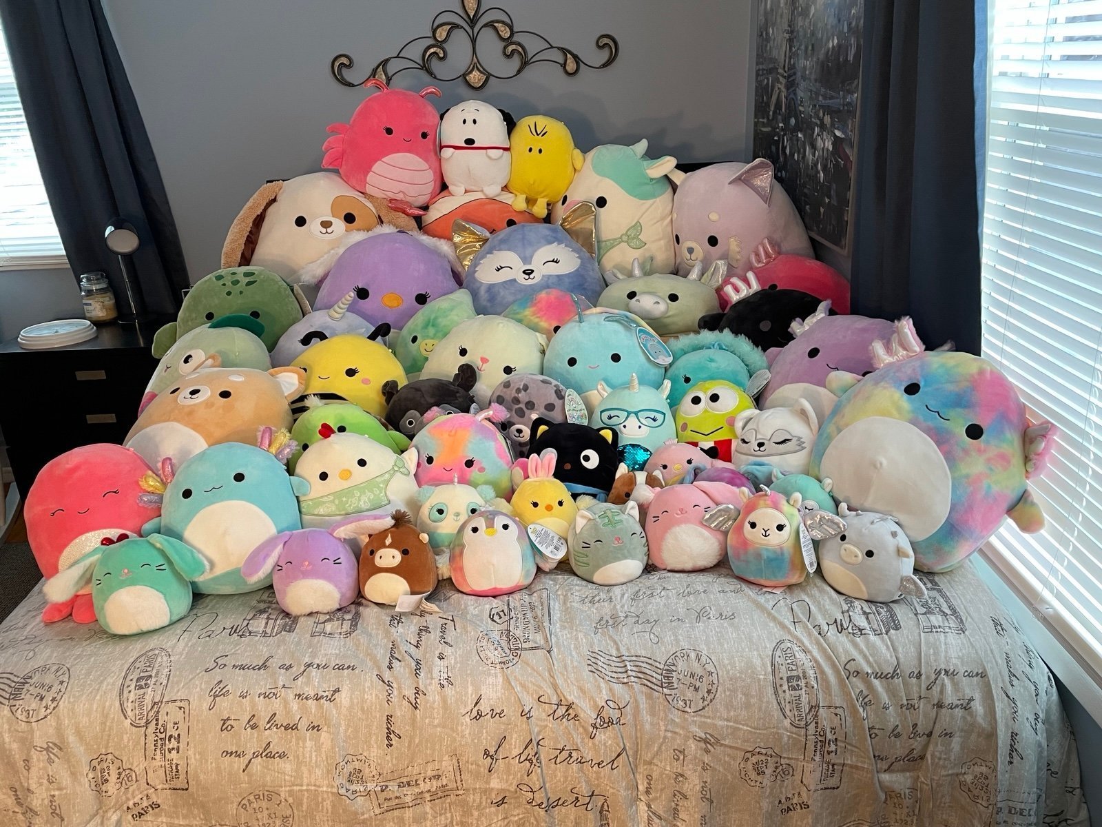 Squishmallow Bundle