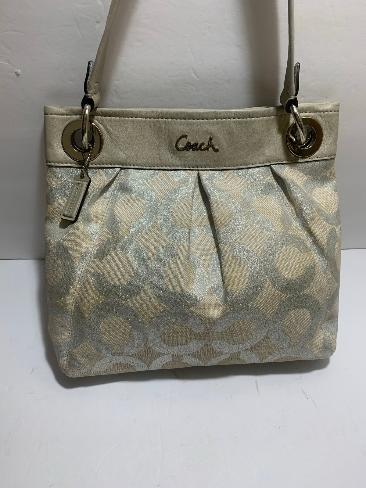 Coach Ashley signature women’s handbag