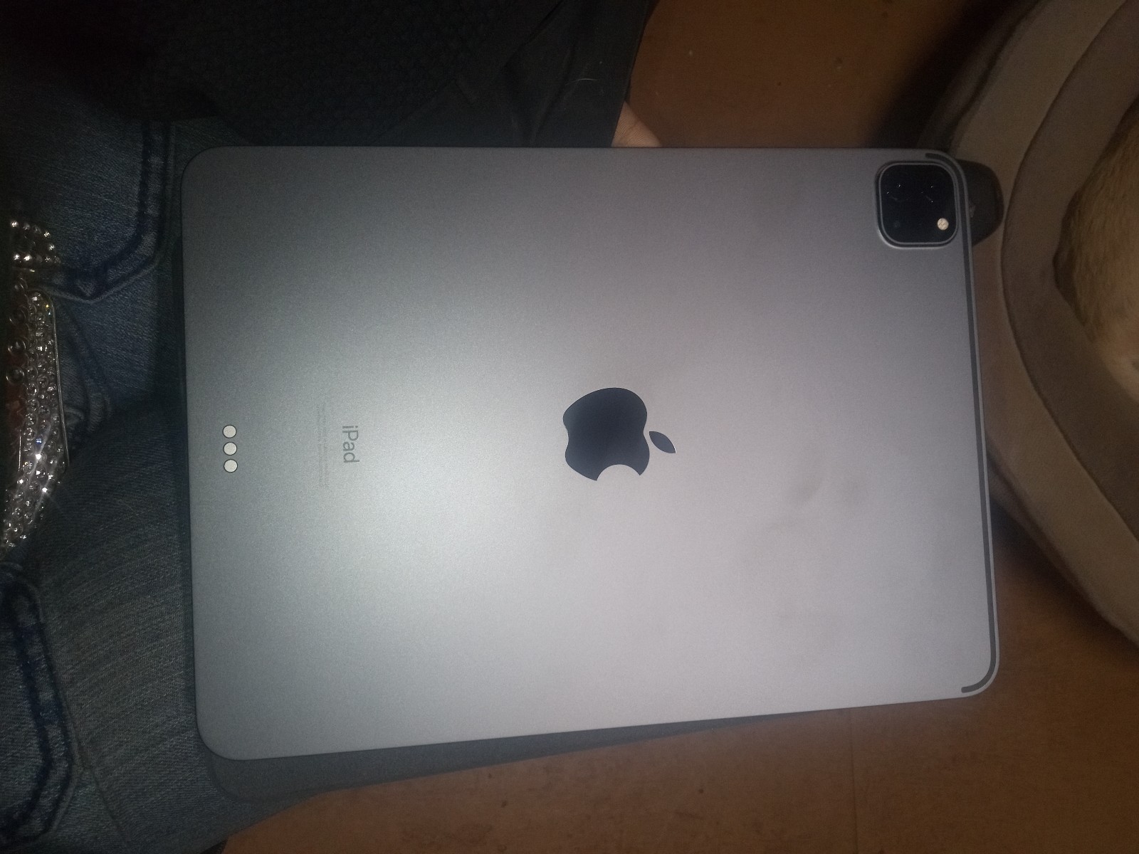 Apple iPad