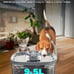 Dog Water Fountain