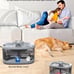 Dog Water Fountain