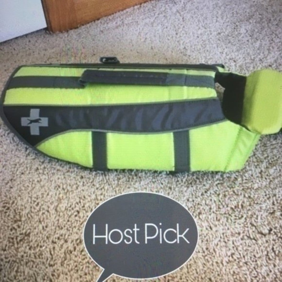 Small / medium dog life jacket