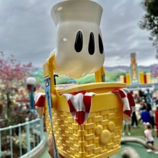 NEW RELEASE - Mickey & Minnie RR Picnic Basket