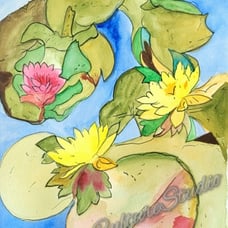 Lotus pond painting