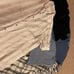 Men Shirts