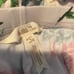 Girls clothes