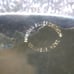 Montana Silversmiths Silver Flower Filigree Engraved Buckle Letter E Great Shape