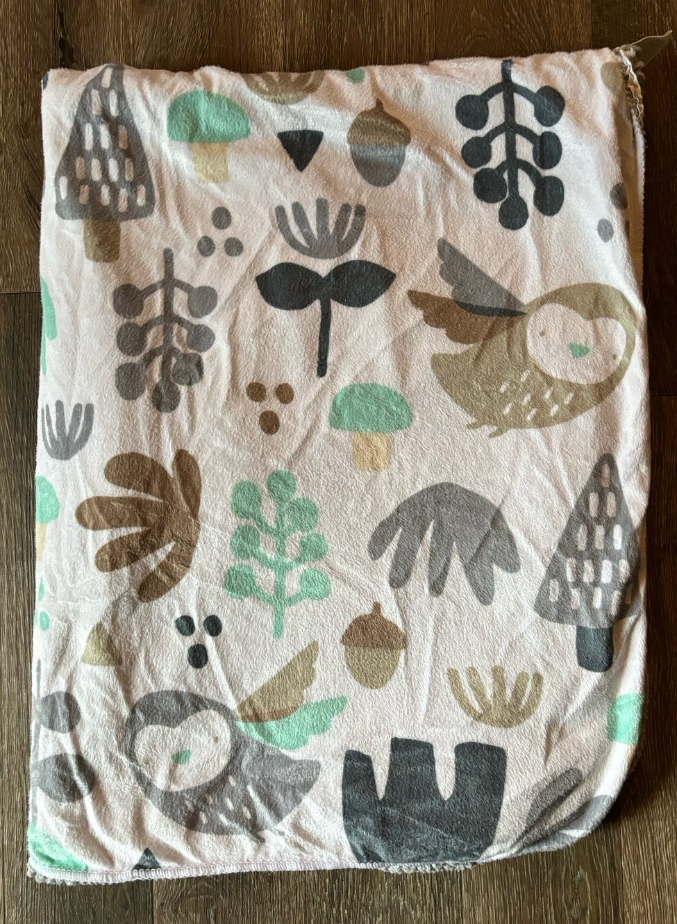 Cloud Island Sweet Woodland Baby Blanket Owl Tree Forest Acorn Gray White Tan